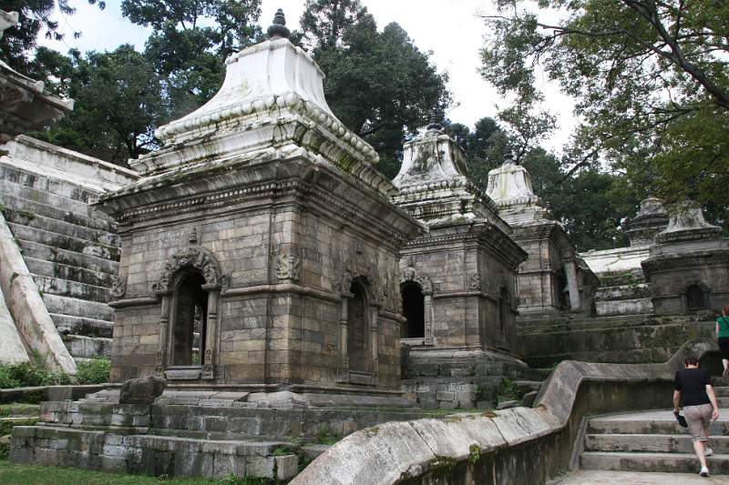 India & Nepal 2011 - 0260